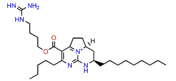 Dihomodehydrobatzelladine C